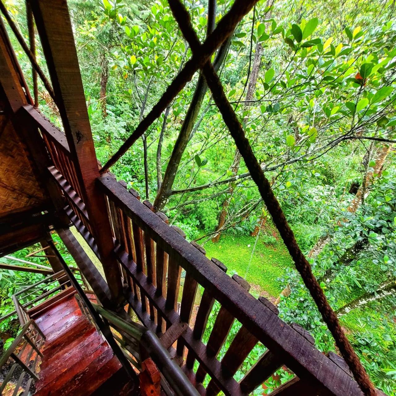 Greens Tree House & Wood House Szultán Bathery Kültér fotó